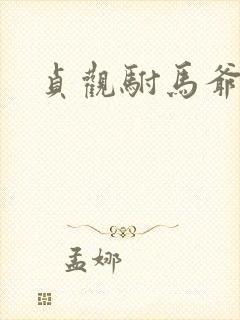 贞观驸马爷苏牧