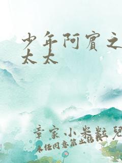 少年阿宾之房东太太