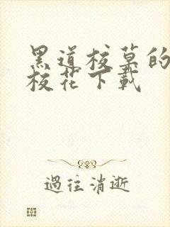 黑道校草的黑道校花下载