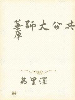 华师大公共数据库