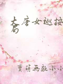 大唐女巡按大结局