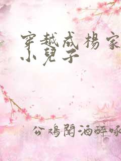 穿越成杨家将最小儿子