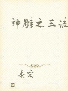 神雕之三流