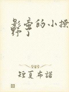 影帝的小撩精太野了