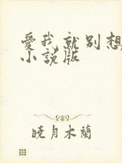 爱我就别想太多小说版