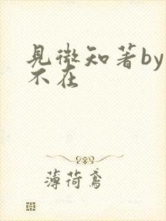 见微知著by音不在