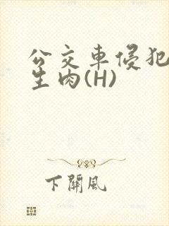 公交车侵犯小男生肉(H)