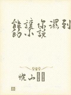 能让你湿到不行的小说