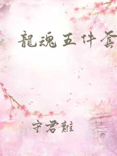 龙魂五件套