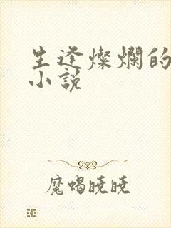 生逢灿烂的日子小说