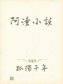 阿潼小说