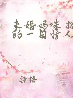 未婚妈咪 总裁的一日情人