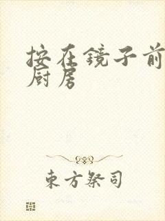 按在镜子前窗c厨房