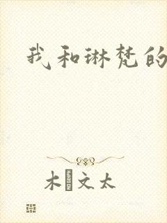 我和琳梵的故事