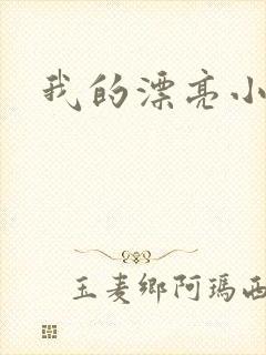 我的漂亮小后妈