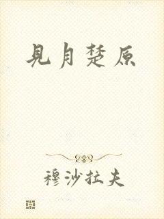 见月楚原