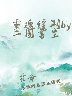 灵魂缓刑by 二团书生