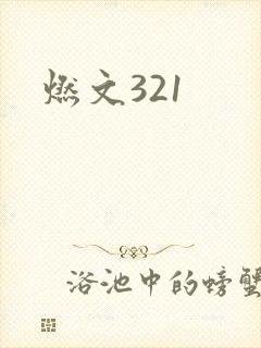 燃文321