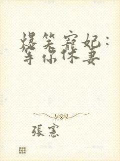 爆笑宠妃：爷我等你休妻