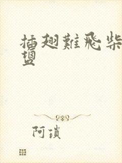 插翅难飞柴米油盐