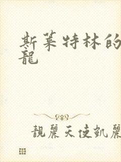 斯莱特林的铂金龙