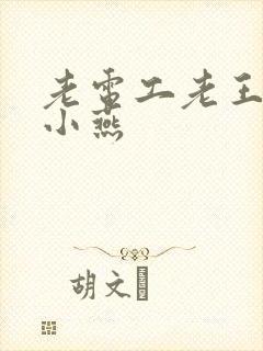 老电工老王和李小燕