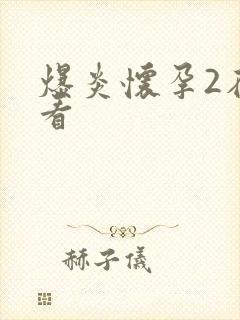 爆炎怀孕2在线看