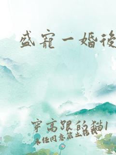 盛宠一婚后霸爱