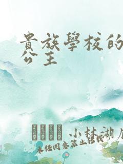 贵族学校的双面公主