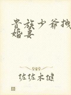 贵族少爷拽拽未婚妻