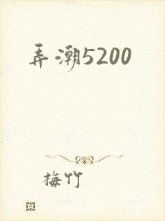 弄潮5200