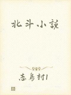 北斗小说