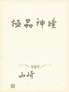 极品神瞳