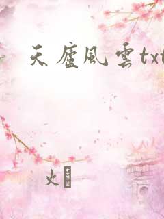 天庐风云txt