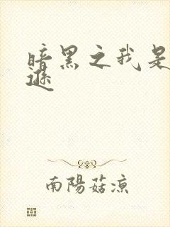 暗黑之我是亚马逊