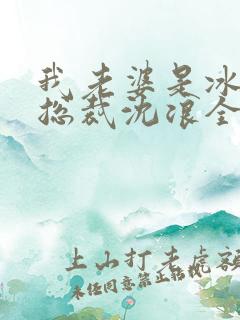 我老婆是冰山女总裁沈浪全集