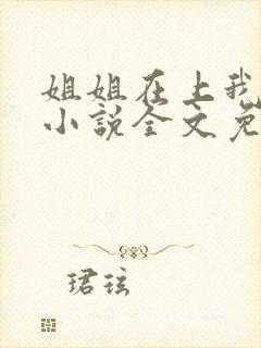 姐姐在上我在下小说全文免费阅读