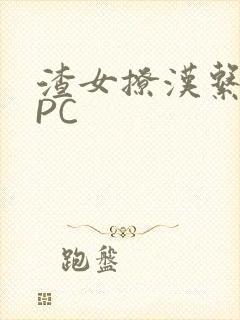 渣女撩汉系统NPC