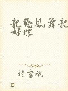 龙飞凤舞龙王你好坏