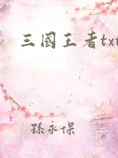 三国王者txt