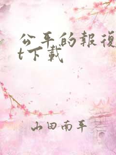 公平的报复txt下载