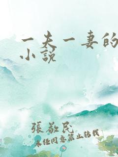 一夫一妻的玄幻小说