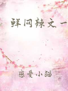 鲜网辣文一对一