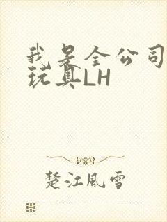 我是全公司发泄玩具LH