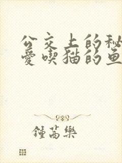 公交上的秘密 爱吃猫的鱼