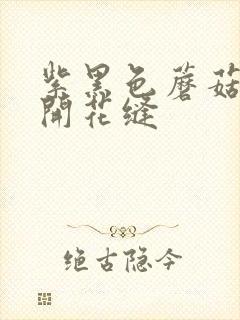 紫黑色蘑菇头顶开花缝