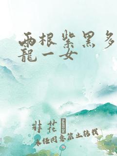 两根紫黑多男双龙一女