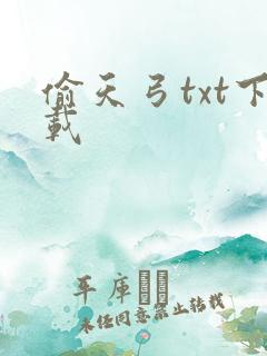 偷天弓txt下载