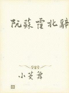 阮苏霍北辞小说