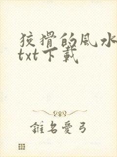 狡猾的风水相师txt下载